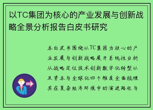 以TC集团为核心的产业发展与创新战略全景分析报告白皮书研究 以TC集团为核心的产业发展与创新战略全景分析报告白皮书研究
